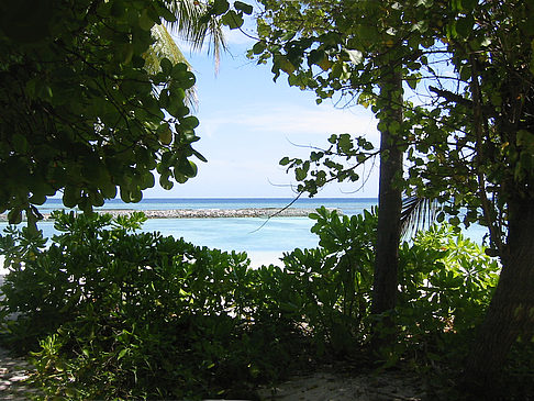 Fotos Blick auf das Meer