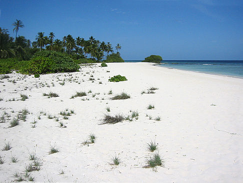 Der weiße Sandstrand Fotos