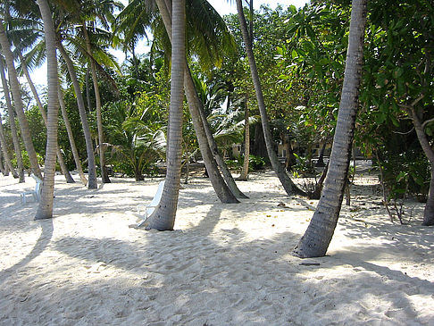 Der weiße Sandstrand Foto 