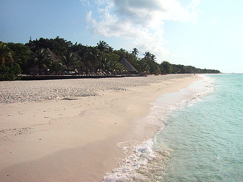 Foto Der weiße Sandstrand der Malediven