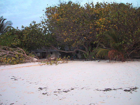 Foto Der weiße Sandstrand der Malediven