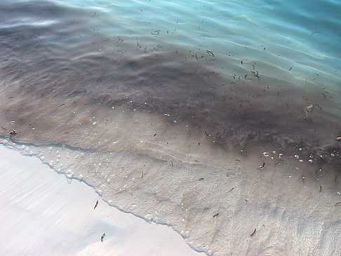 Foto Der weiße Sandstrand der Malediven