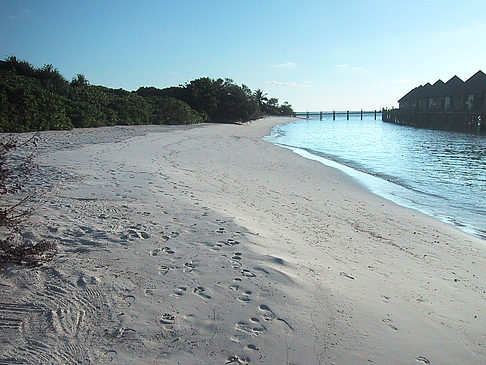 Foto Der weiße Sandstrand der Malediven - 