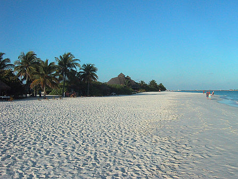 Der weiße Sandstrand der Malediven Fotos