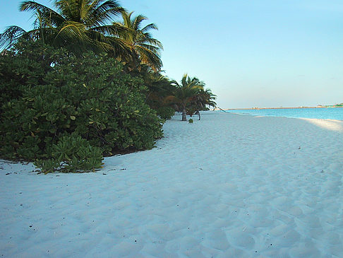 Der weiße Sandstrand der Malediven Fotos