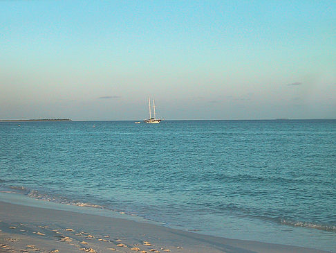 Foto Der weiße Sandstrand der Malediven