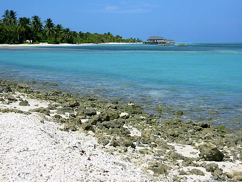 Felsiger Strand - Malediven